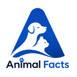animal facts pro